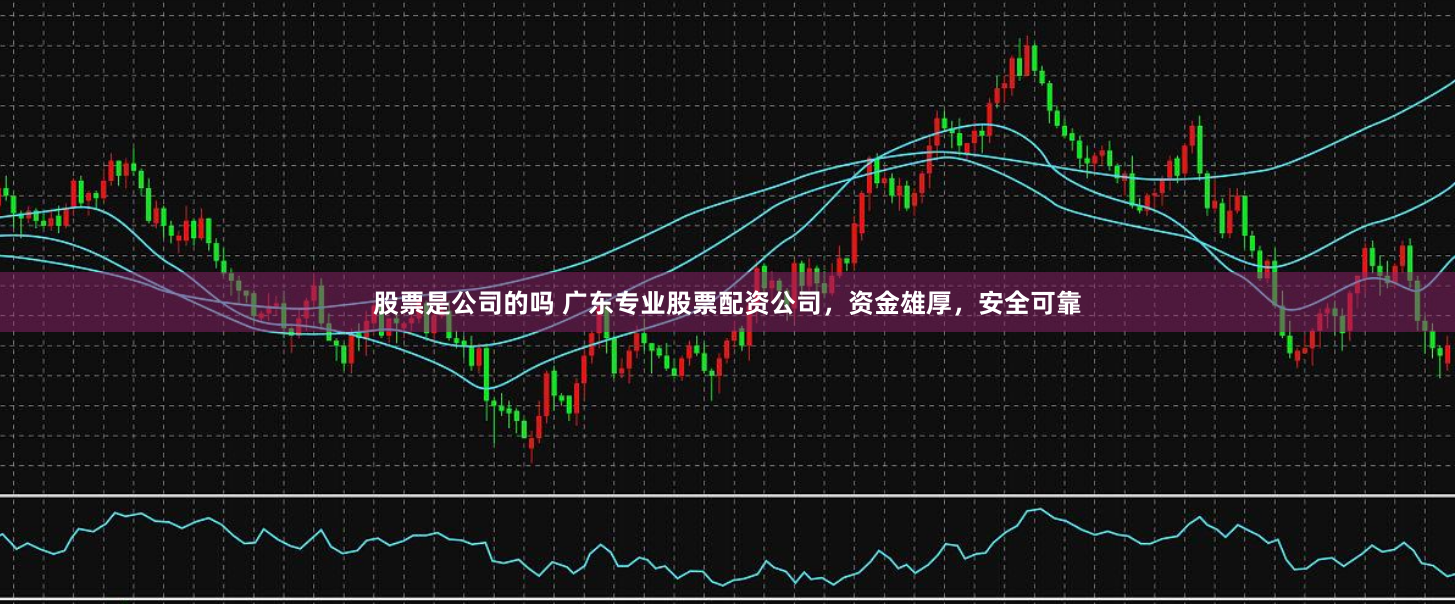 股票是公司的吗 广东专业股票配资公司，资金雄厚，安全可靠